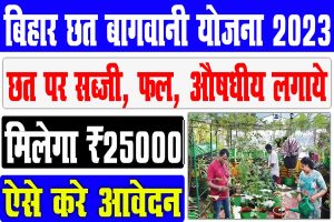 Bihar krishi chhat par bagwani yojana online form 2023 | छत पर सब्जी, फल, औषधीय पौधे लगाये ₹25000 अनुदान : best to way