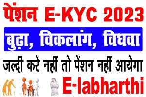 Vridha pension ekyc 2023 | वृद्धा, विधवा, विकलांग पेंशनधारी जल्दी करे e-kyc : best to way