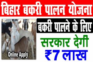 Bihar bakri palan yojana 2023 | बिहार बकरी पालन योजना 2023, सरकार दे रही है 7 लाख अनुदान : very useful